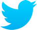 Twit